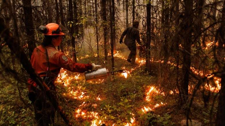 Canada should slash carbon emissions by up to 55 per cent, says climate advisory body