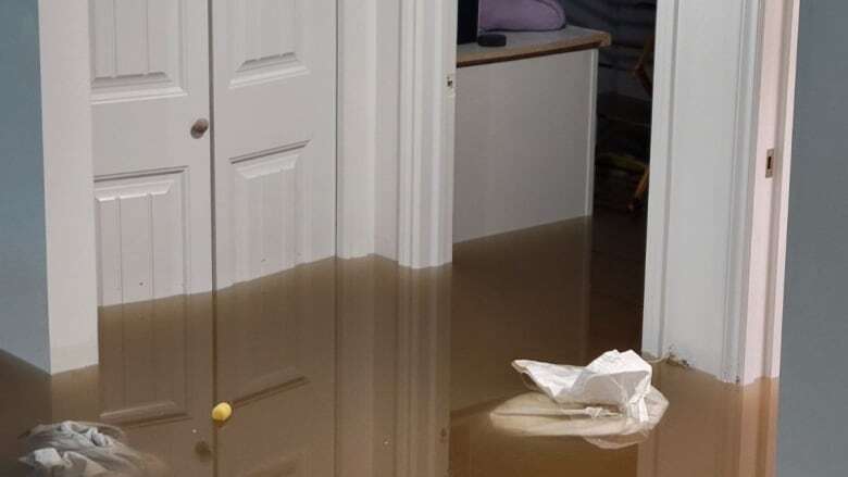 Atikokan woman sues town alleging municipal pumping station caused sewage to flood her basement