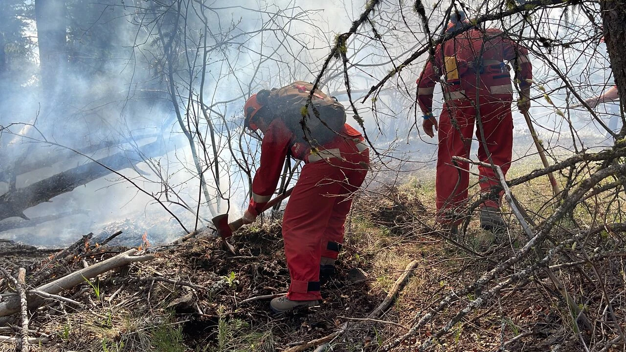 Thousands apply for B.C. Wildfire Service boot camp — but only a few will make the cut