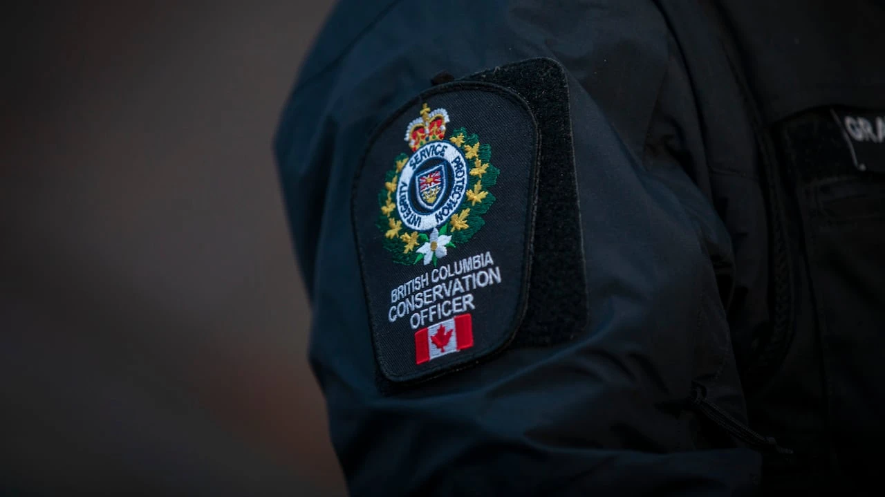 Hunting guide gets $30K penalty for leading client on hunt outside licence area