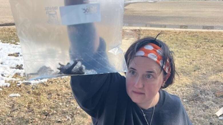 'We basically lost everything': Bats force Sask. family to abandon house