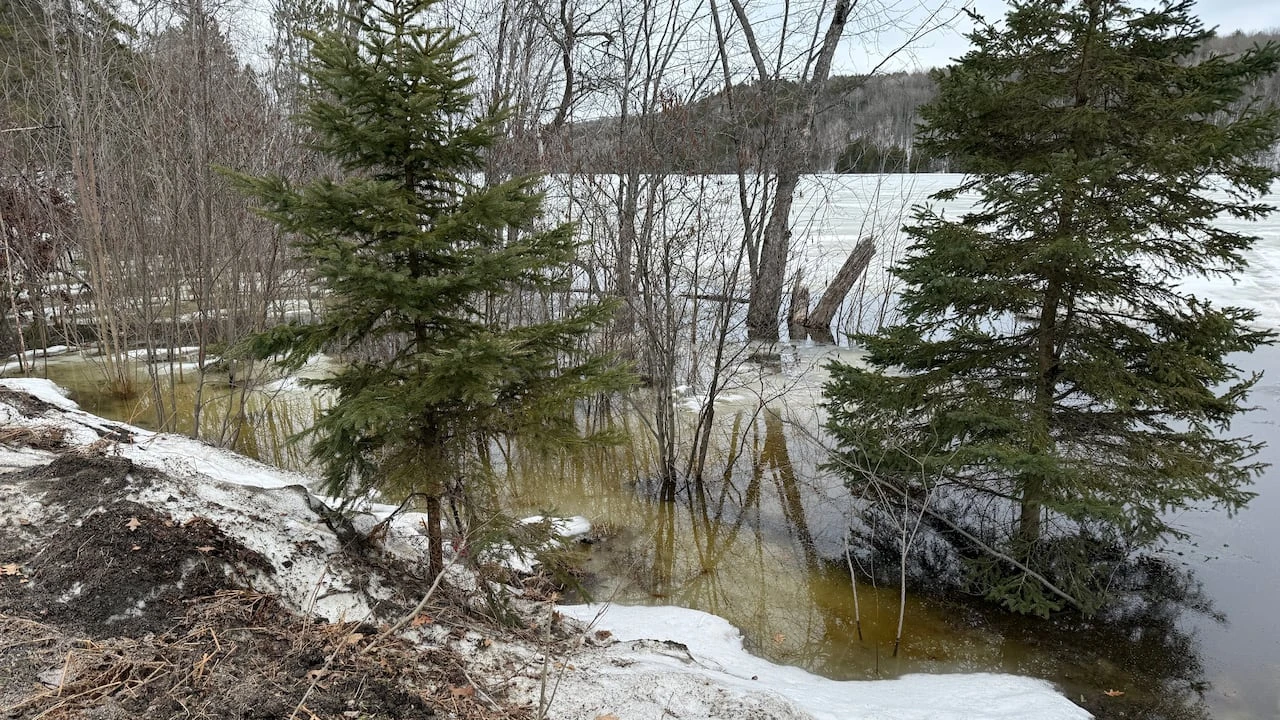 Here's what you need to know about flooding in northeastern Ontario on Friday