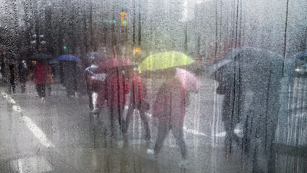 High streamflow advisory in place for B.C.'s South Coast