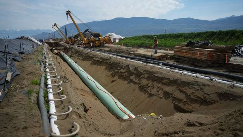 Trans Mountain expansion has delivered so far on some profitable promises, report suggests