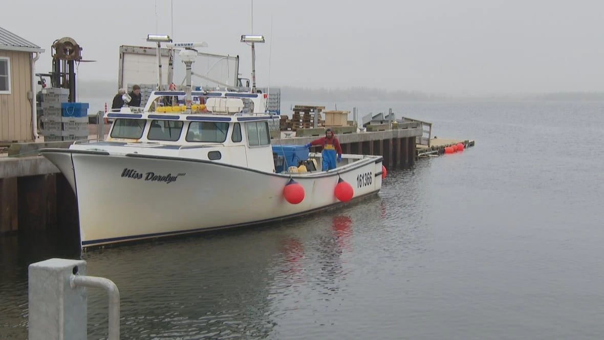 Lennox Island chief says moderate-livelihood lobster fishers will replace traps seized by DFO