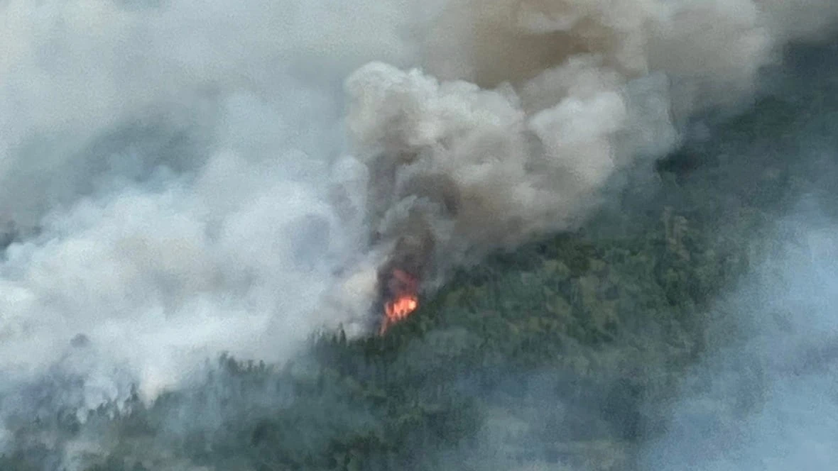 Wet weather expected to help fight Badger wildfire, says N.L. fire officer