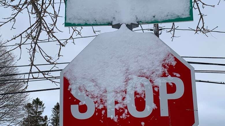 Central, eastern P.E.I. expected to get brunt of Sunday snowfall