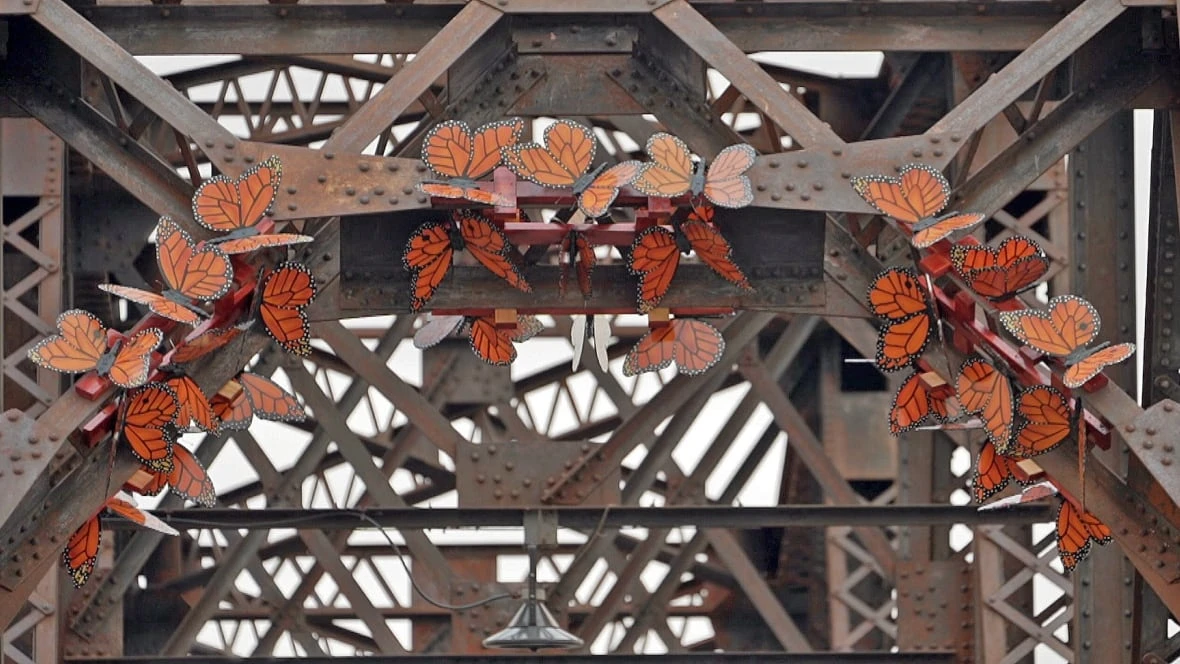 Monarch butterfly sculptures on Fredericton bridge send environmental message