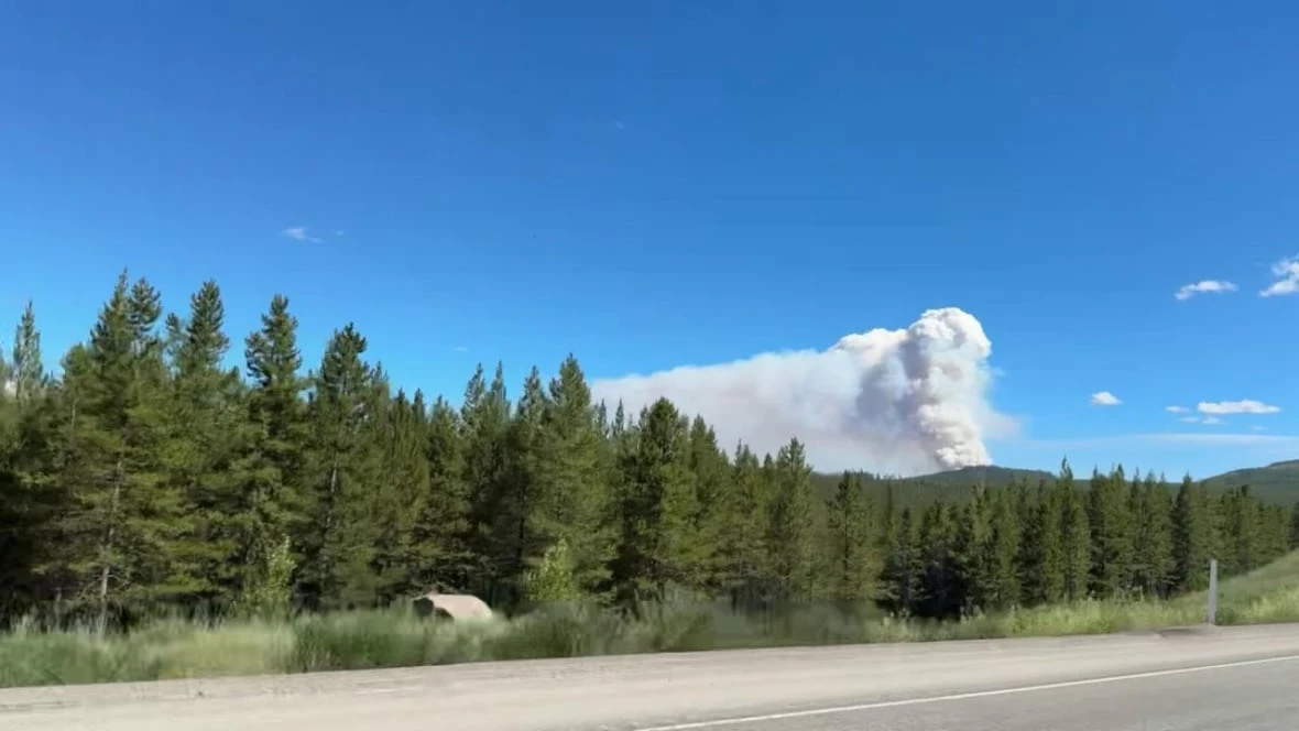 Wildfire near Princeton, B.C., prompts evacuation order for dozens of properties