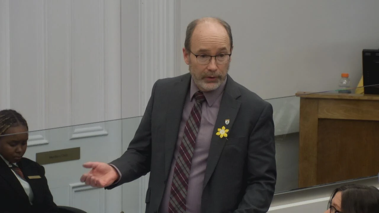 Greens accuse P.E.I. government of cutting programs that help Island children, youth