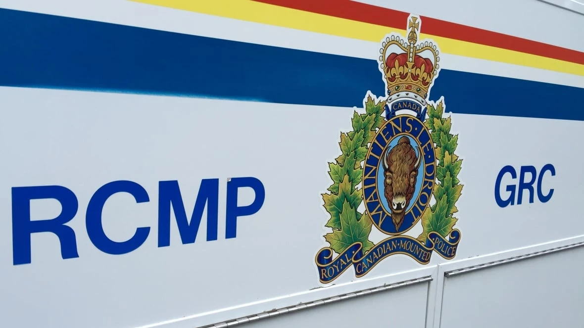 Central Alberta collision kills 4 people, including 2 young girls: RCMP