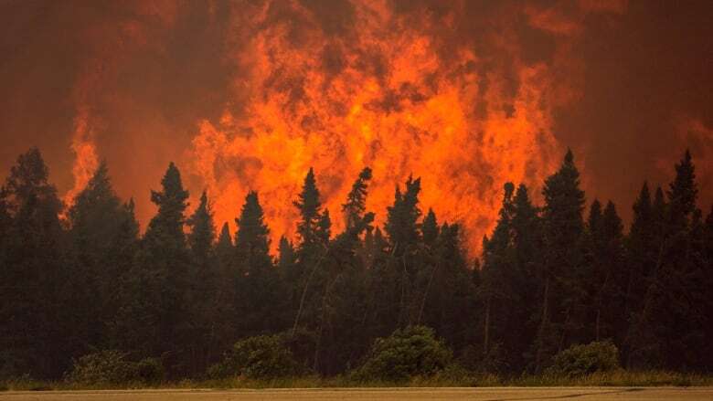 How vulnerable are Saskatchewan's 3 largest cities to wildfires?