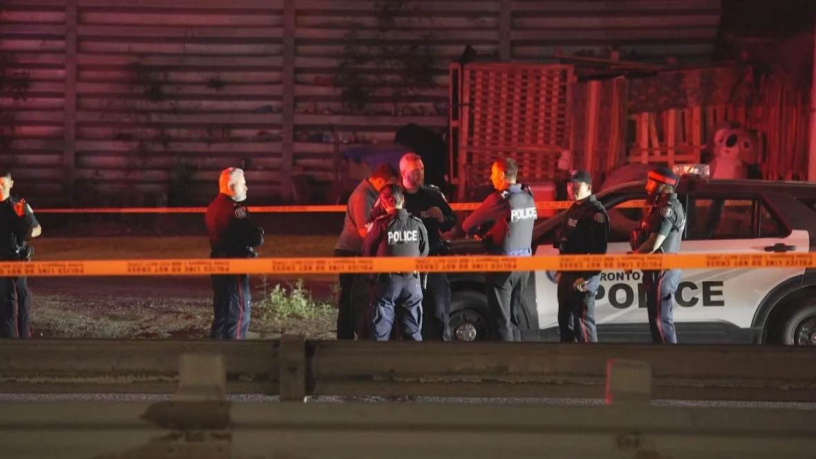 Man, 21, charged with armed carjacking after fall from Gardiner Expressway, police say