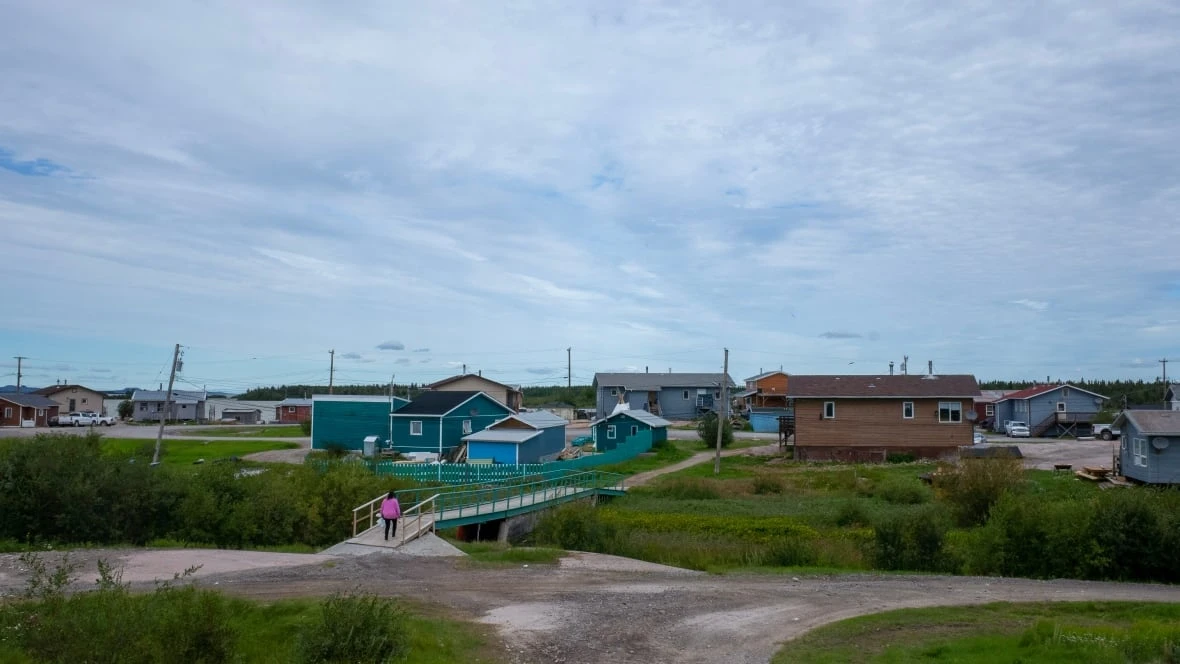 Pilot dies after helicopter crash near Behchokǫ, N.W.T.