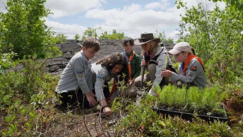 A new movie from Science North tells Sudbury's regreening story