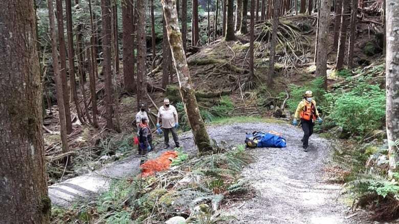 3 hikers rescued after spending night in North Shore Mountains were unprepared, set out too late: rescuers