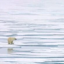 The Liberals' net-zero 'accountability' legislation is on thin ice