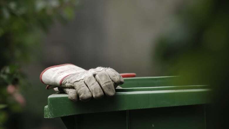 Toothpicks, bones and animal hair: What's allowed in your Windsor-Essex green bin in October