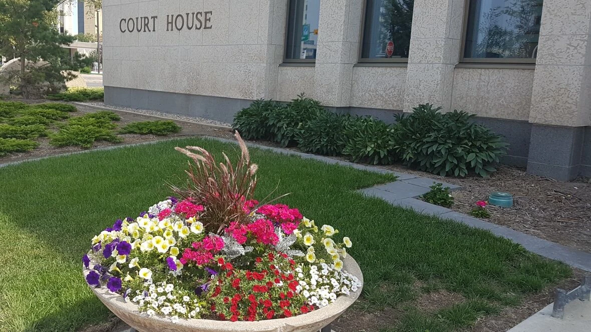 Youth pleads guilty in man's death by gunshot to the head in Regina
