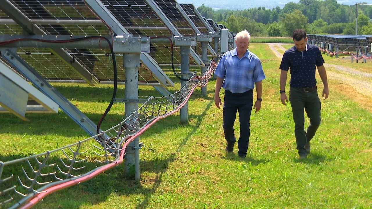 This N.S. town wants to use 100% renewable energy. It’s more than halfway there