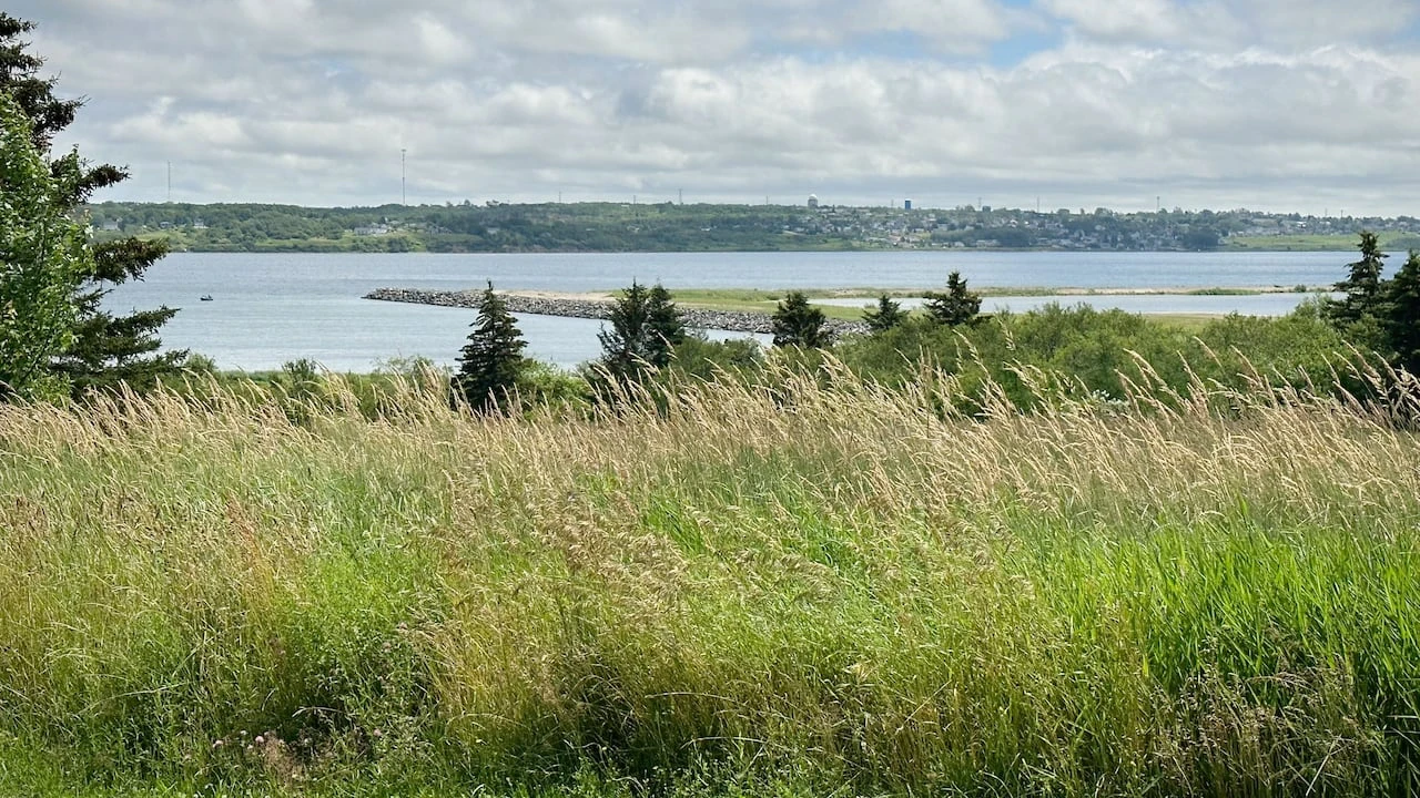 CBRM councillors calling for quicker action to get in on offshore wind