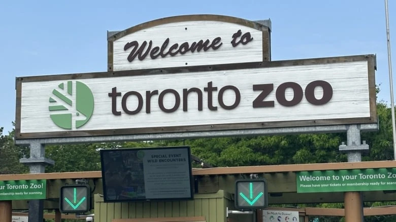 Toronto Zoo says patrons' transaction data leaked on dark web in 2024 cyberattack