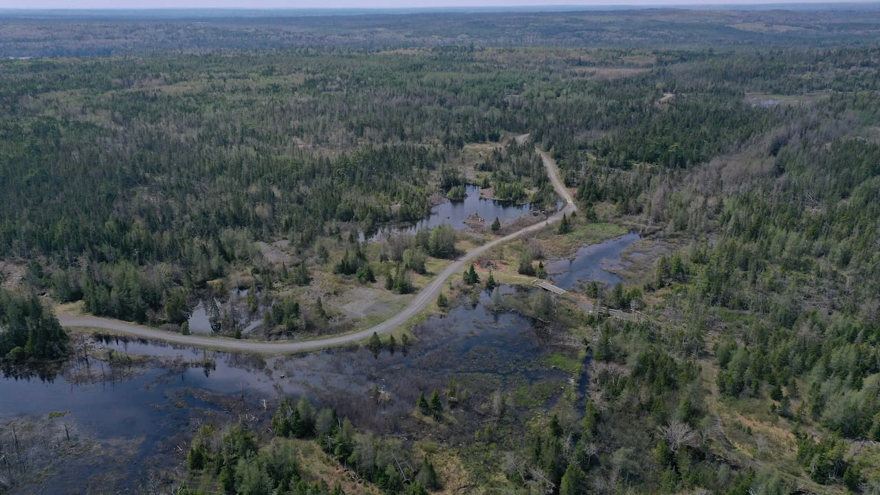 St Barbara reviving 3 old proposals as new Eastern Shore gold mine megaproject