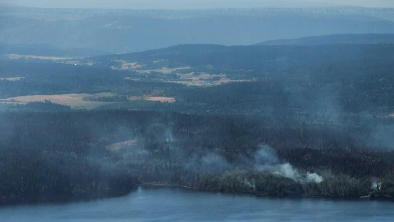 Williams Lake, B.C., residents warned to be ready to leave as wildfire nears city