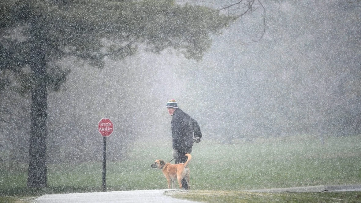 Environment Canada warns of 'toonie size hail' in severe Ottawa-area thunderstorm
