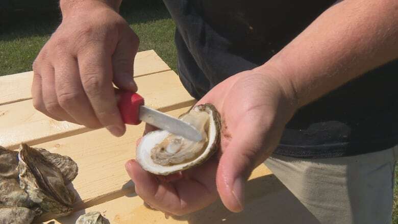 Oyster parasite MSX found in more locations on P.E.I.