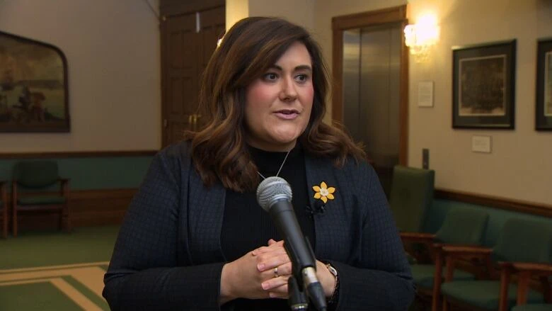 N.L. announces expanded measures to help child care providers
