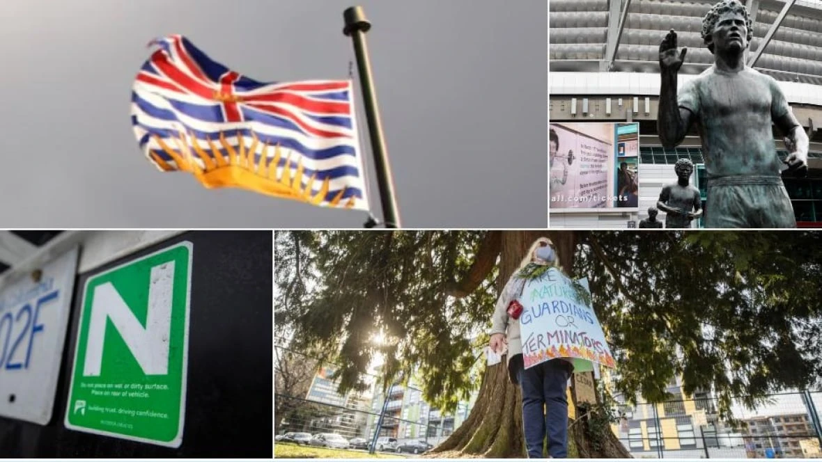 Search for B.C.'s Best Symbol: Round 2— Provincial