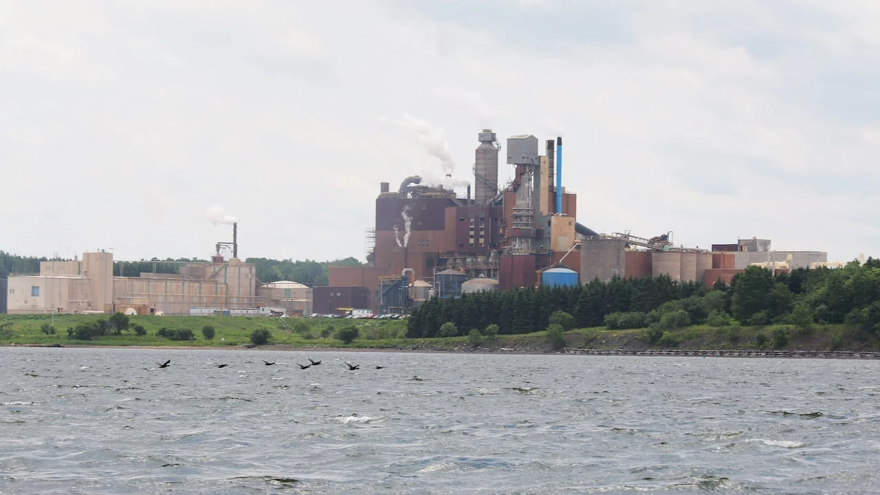 Northern Pulp continues work on closure plan for Pictou County site