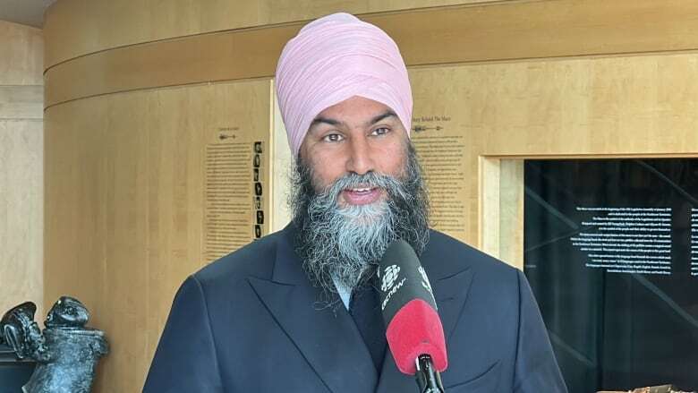 Singh says he is open to more carbon tax exemptions for N.W.T.