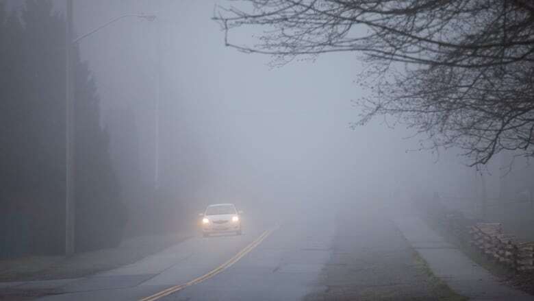 Morning school bus service cancelled in Essex County due to fog