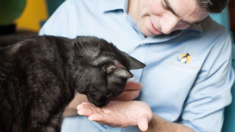 Why this B.C. veterinarian specializes in end-of-life care for pets