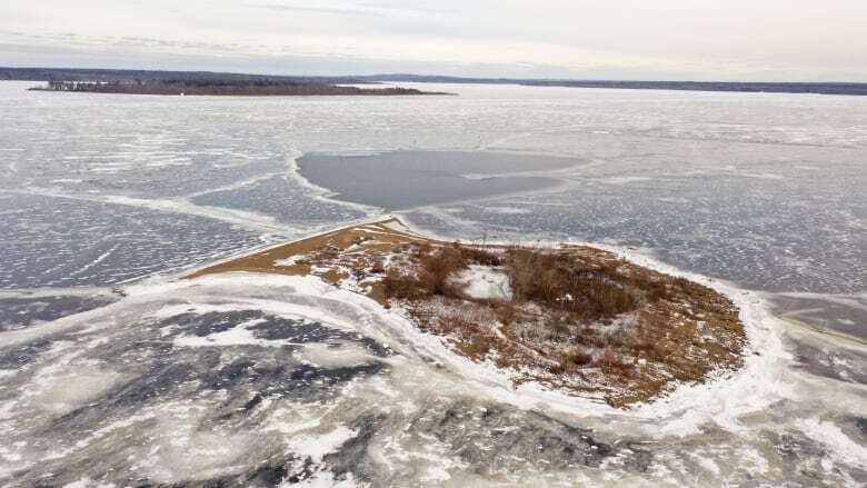 Goat Island, well-known stopoff for Grand Lake boaters, hits the auction block