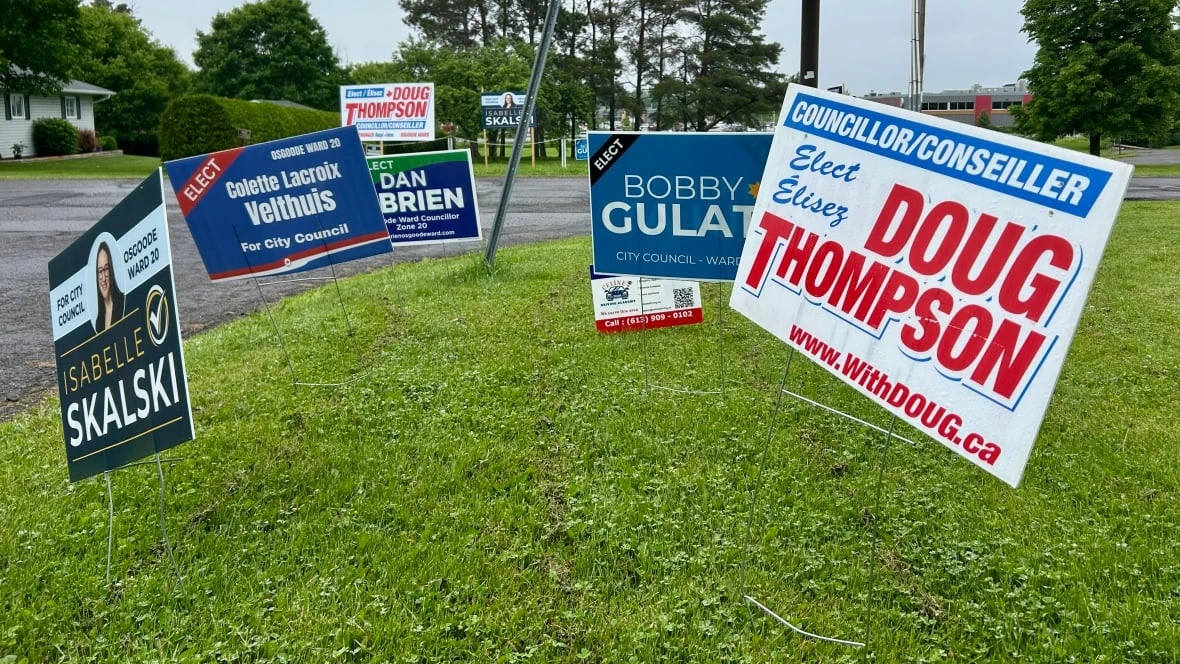 From speeding to Tewin, these are the issues on the minds of Osgoode voters