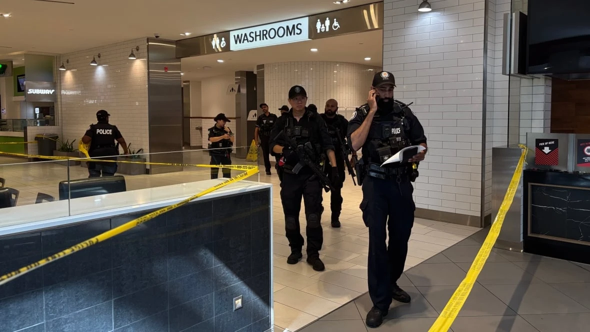 2 teens charged in fatal Scarborough Town Centre shooting: police