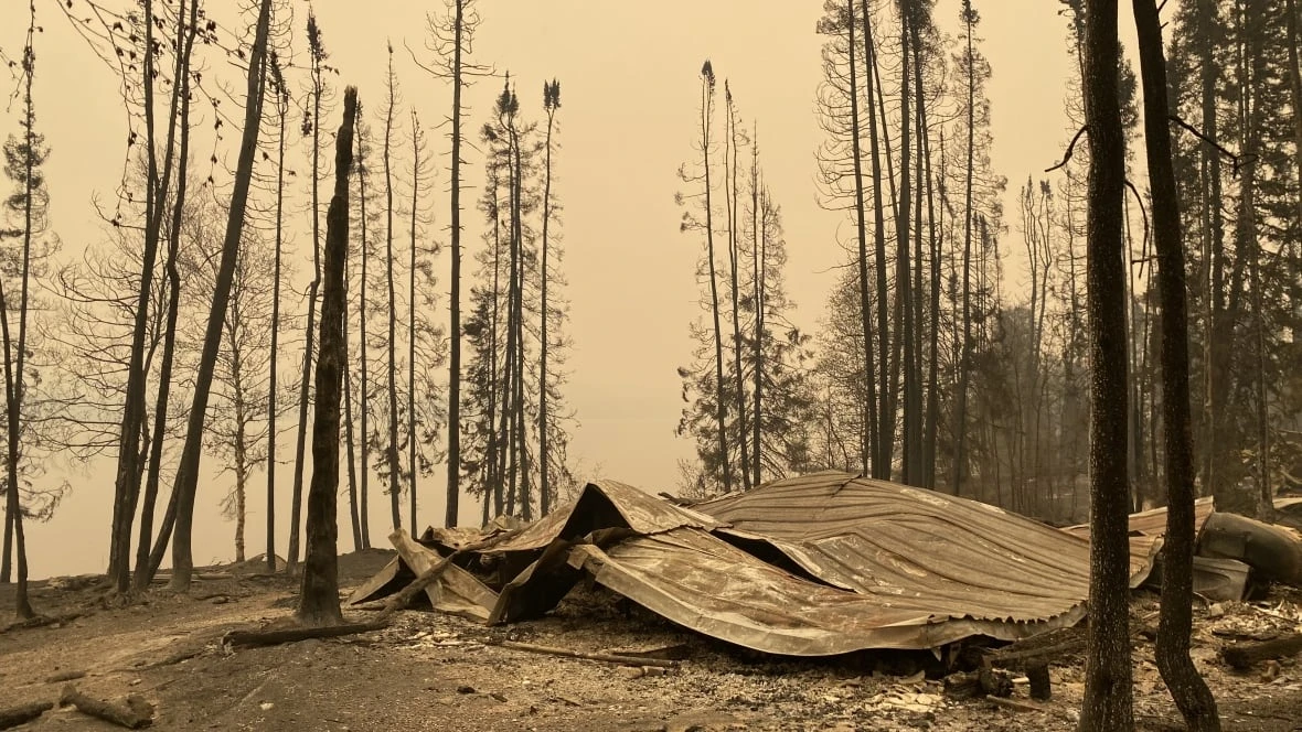 More than 2 dozen cottages, homes burned to the ground in Manitoba's Burge Lake Provincial Park
