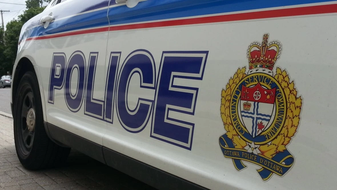 Man charged in Ottawa woman's murder had a history of intimate partner violence cases