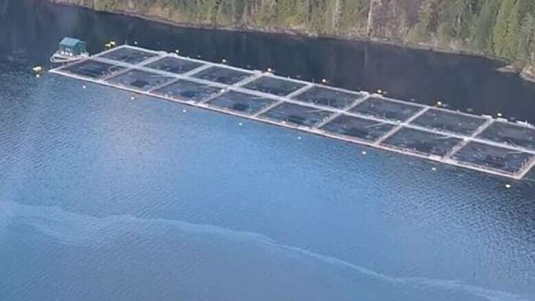 'Incalculably small' amount of diesel visible at site of 8,000-litre B.C. spill