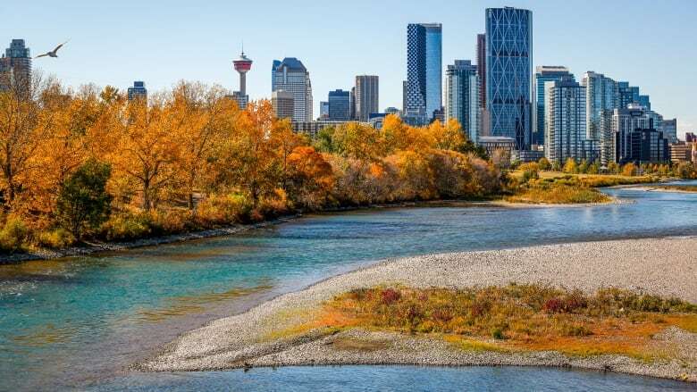 Alberta took on drought with voluntary water-sharing. Here's how it went, and what comes next