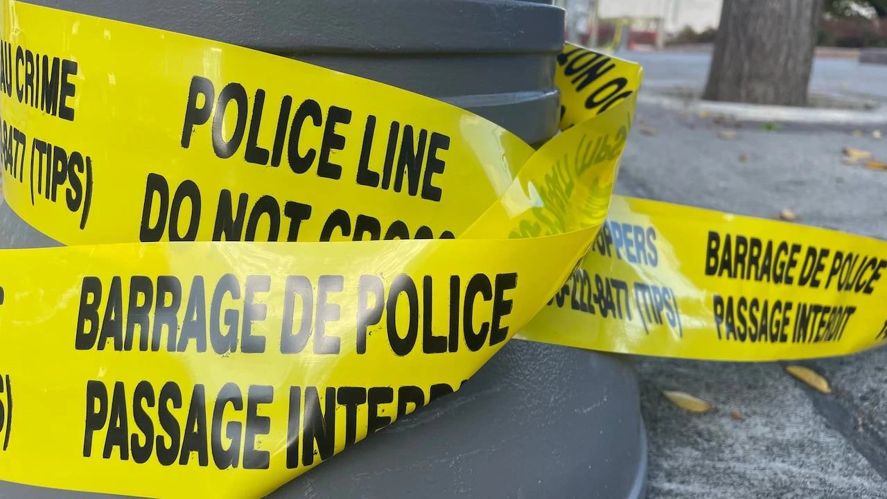 Youth charged for fire that killed 3 dogs