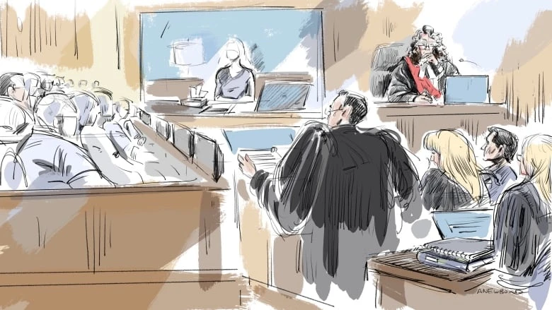 Woman's cross-examination so far in hockey sex assault trial in London, Ont., and what's expected next