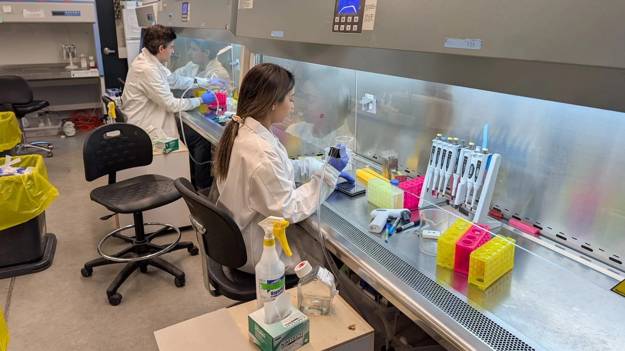 Other countries are looking to end animal testing. In Canada, there's a holdup