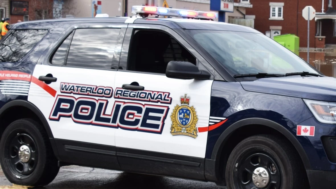Dog dead after reports of a fight downtown Kitchener early Saturday