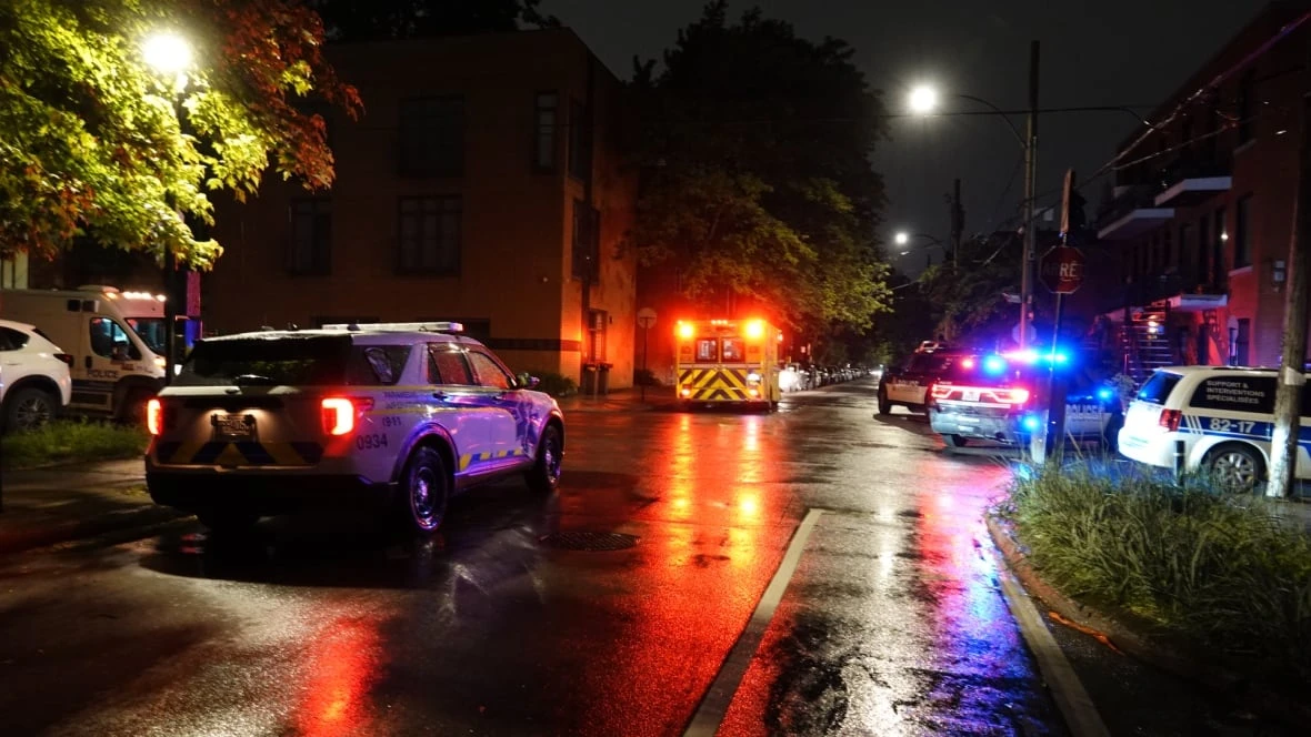 Mother and 3-year-old son drown in home pool in Lachine, Montreal police say