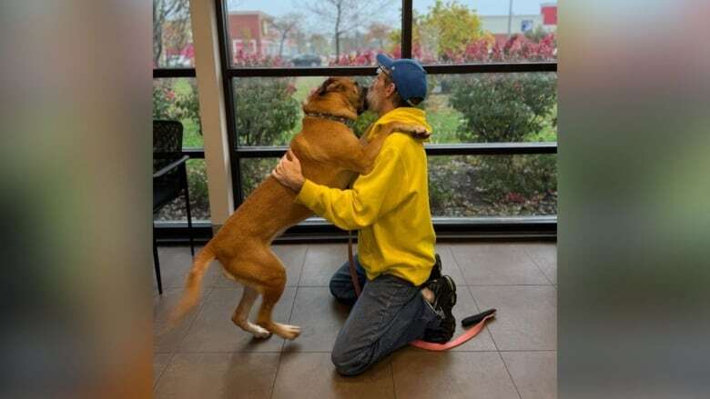 After 2-year cancer battle, Fort Erie, Ont. man reunites with the dog he never thought he'd see again