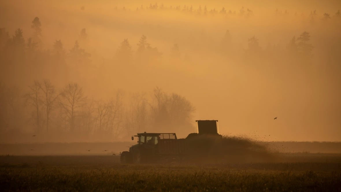B.C.'s farmers lost $457M in 2024, the most in Canada